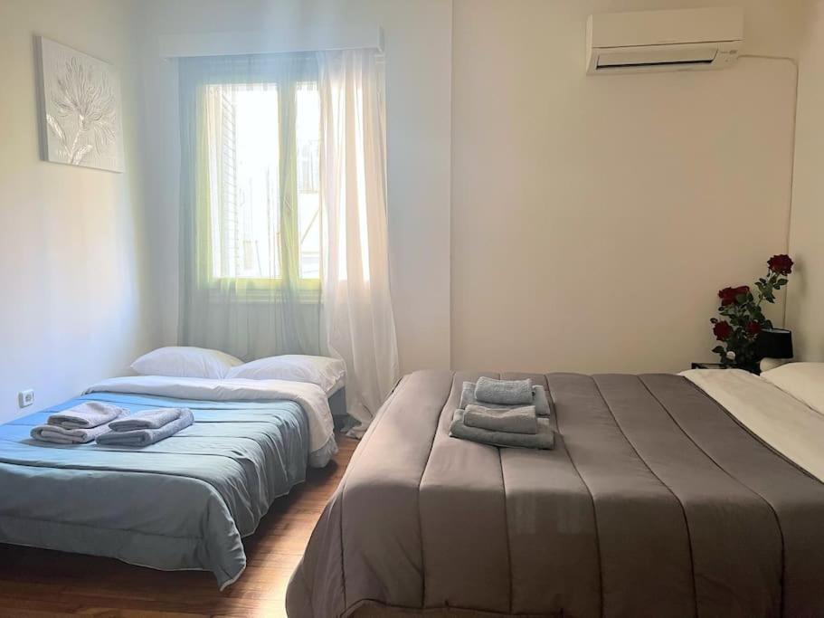 Apartment Amazing 3bdr With Unique Roof Garden In Plaka *