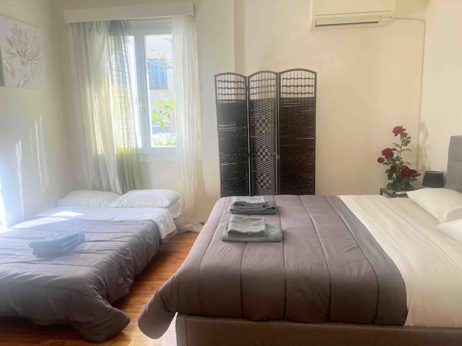 Apartment Amazing 3bdr With Unique Roof Garden In Plaka Athens